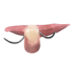 Flipper