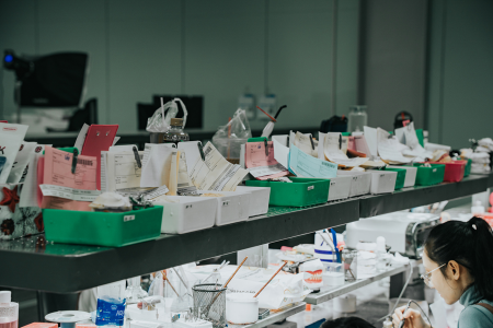 Dental Lab Services