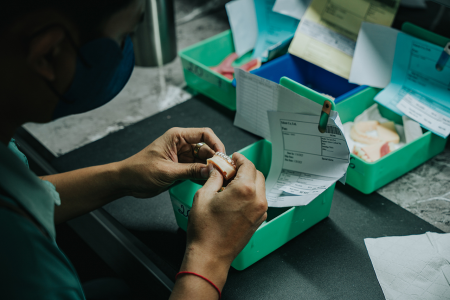 Dental Lab Services