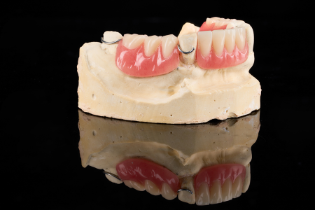 Partial Denture