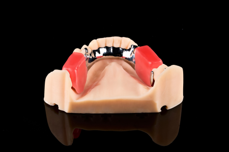 Partial Denture