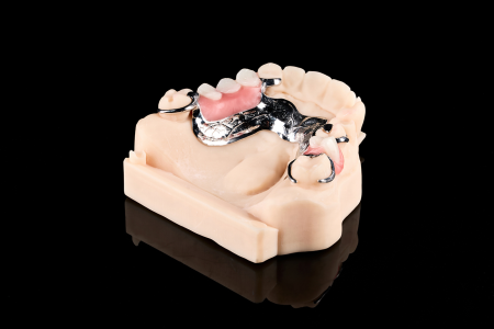 Partial Denture