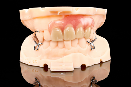 Partial Denture