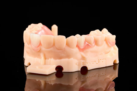 Partial Denture