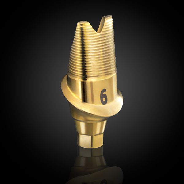 Customized Abutments
