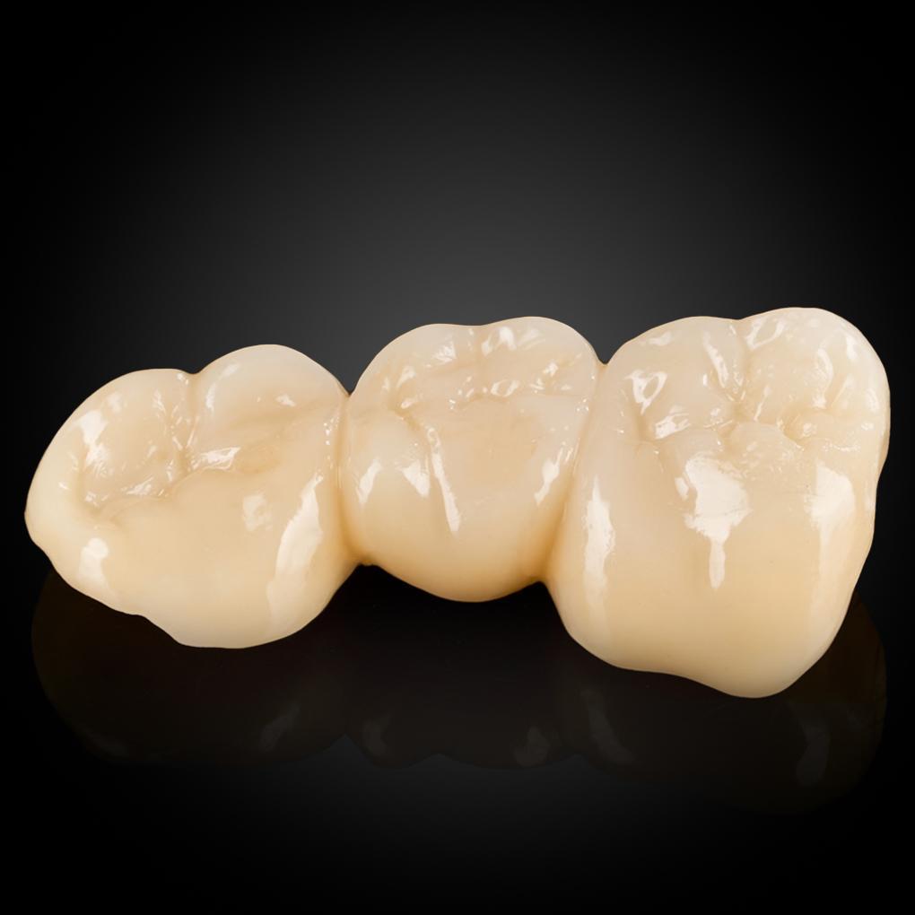 Handcrafted Dentures