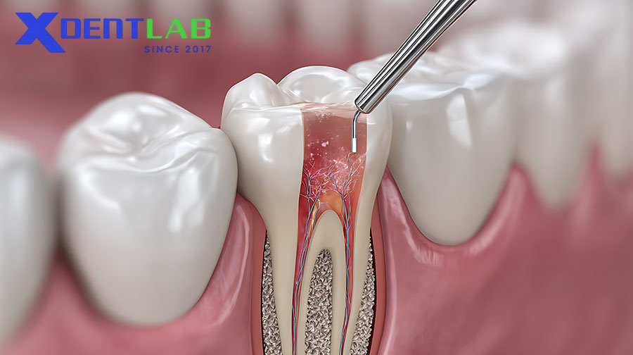 Ứng Dụng Lâm Sàng Ứng Dụng Lâm Sàng