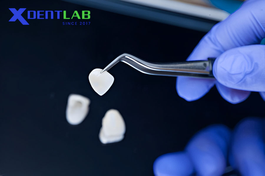 Các Loại Sứ Đa Tinh Thể Các Loại Sứ Đa Tinh Thể