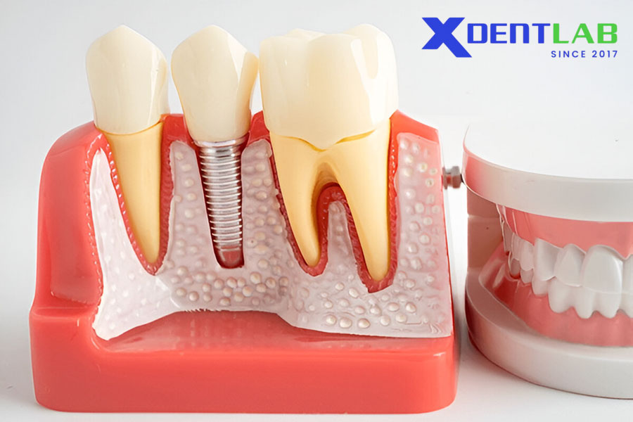 Đặc Tính Cơ Học Đặc Tính Cơ Học