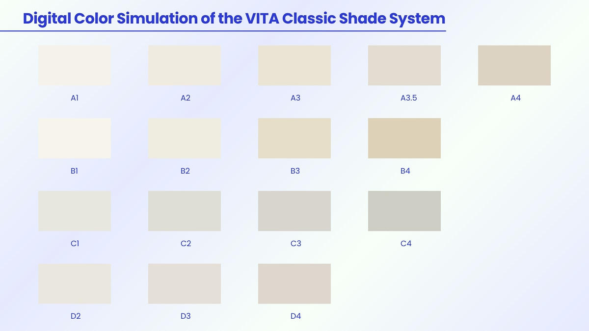 The 4 shade groups: A, B, C, D The 4 shade groups: A, B, C, D