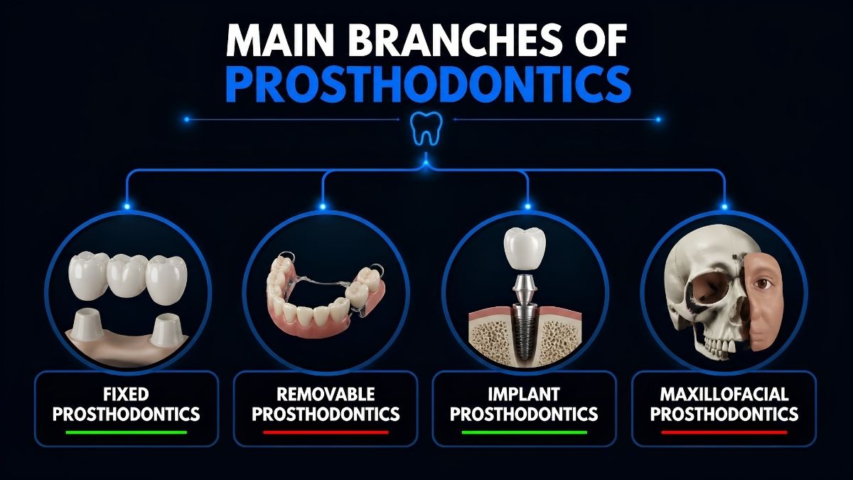 Main branches of prosthodontics Main branches of prosthodontics