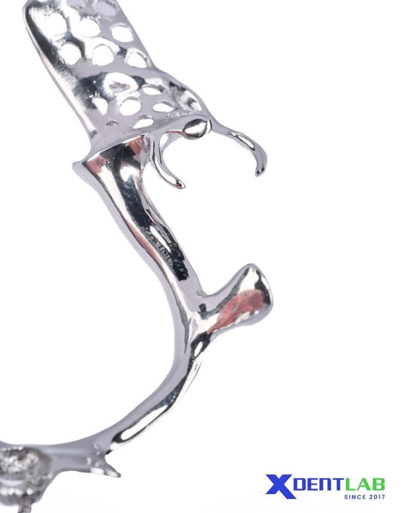 How Rests And Clasps Depend On Each Other How Rests And Clasps Depend On Each Other