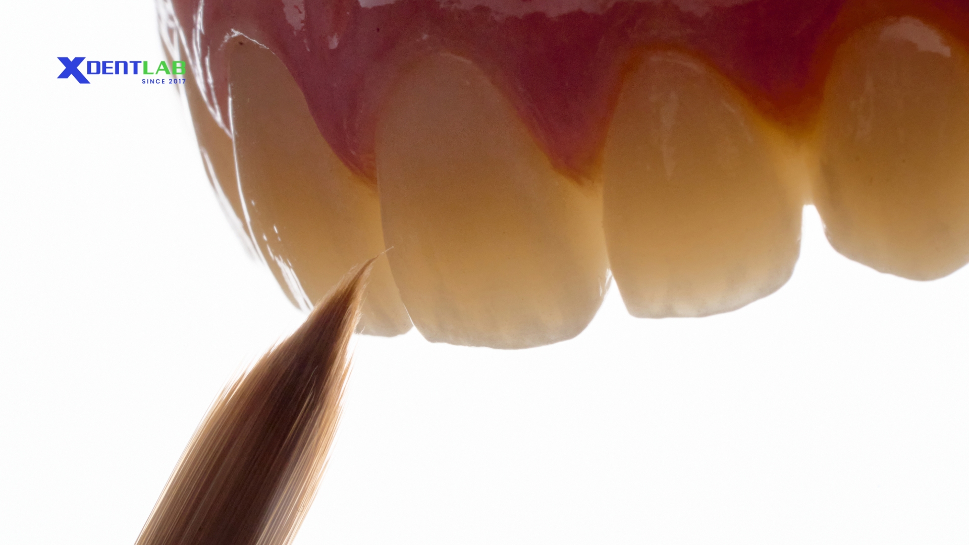 full-arch-in-dental-labs