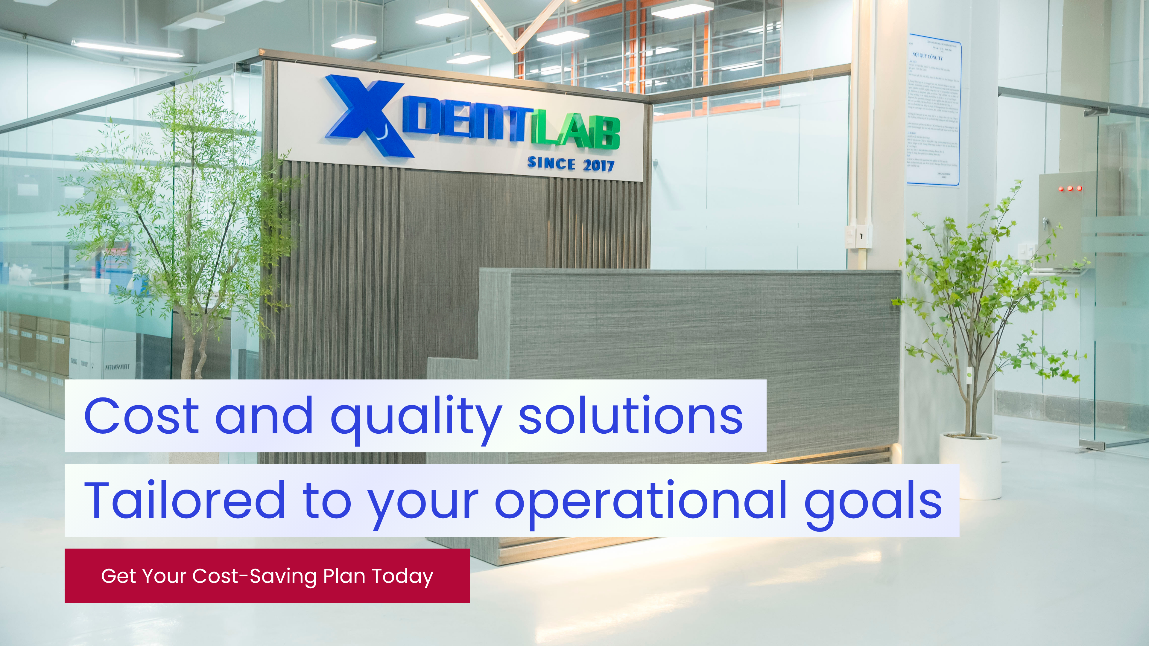 Vietnam Dental Laboratory - XDENT LAB