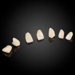 Layered Zirconia